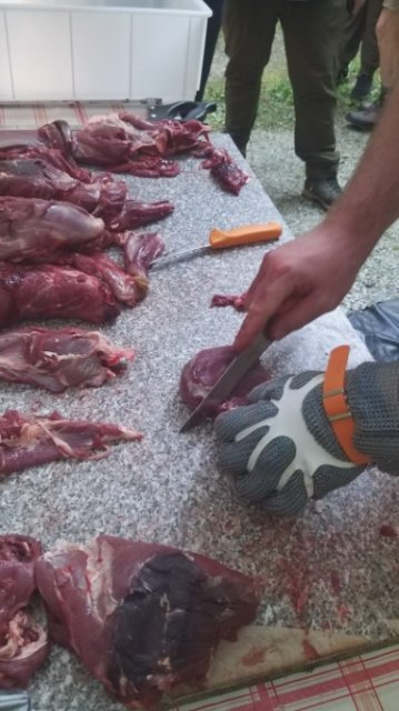 Wild zerlegen für den Eigengebrauch